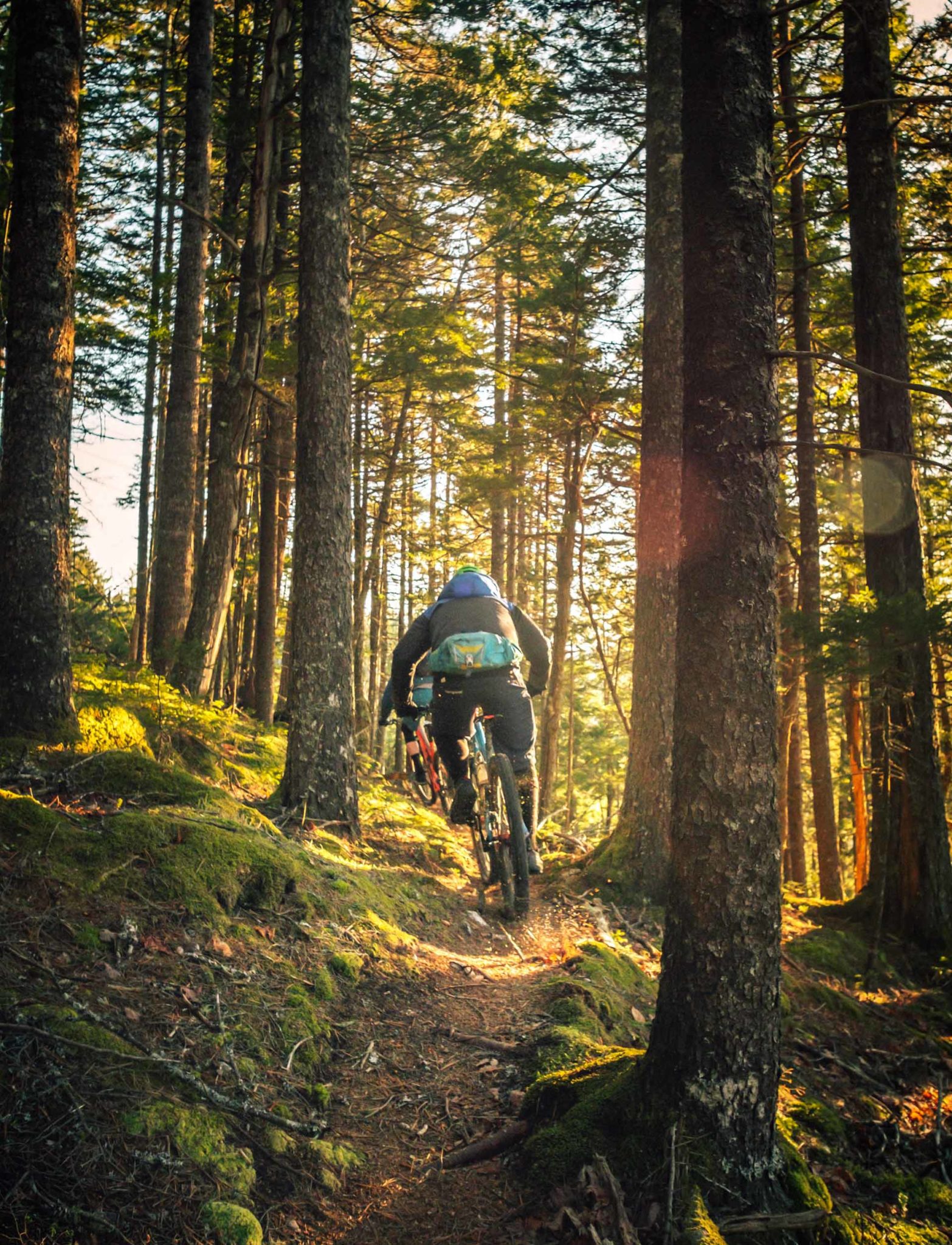 mtb luxury travel