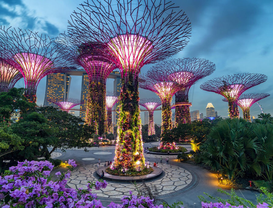 5 FINEST HIGHRISE VIEWS FROM THE TOP SKY GARDENS AROUND THE WORLD TPM