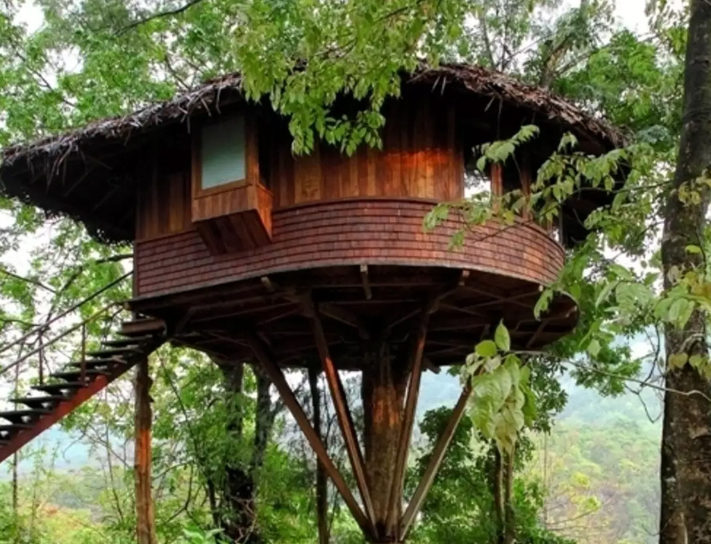 5 TOP TREEHOUSE HOTELS IN INDIA TO AMUSE YOUR YOUNGER SELF TPM