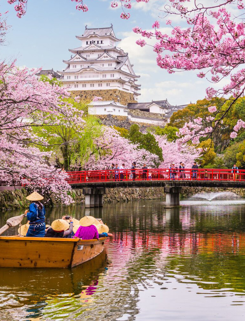 What It Was Like to Celebrate Cherry Blossom Season in Japan - AFAR