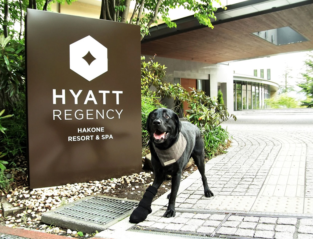 Hyatt Regency Hakone Resort & Spa, Japan